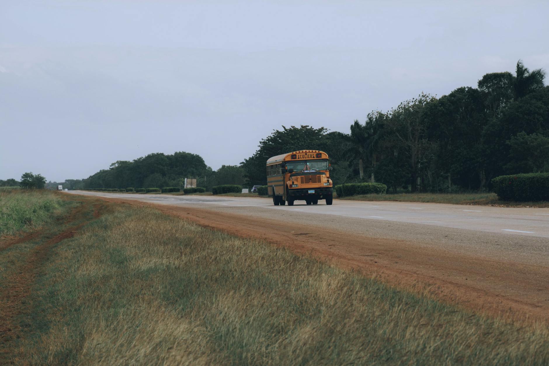 Żółty szkolny autobus jedzie wiejską drogą między polami i drzewami